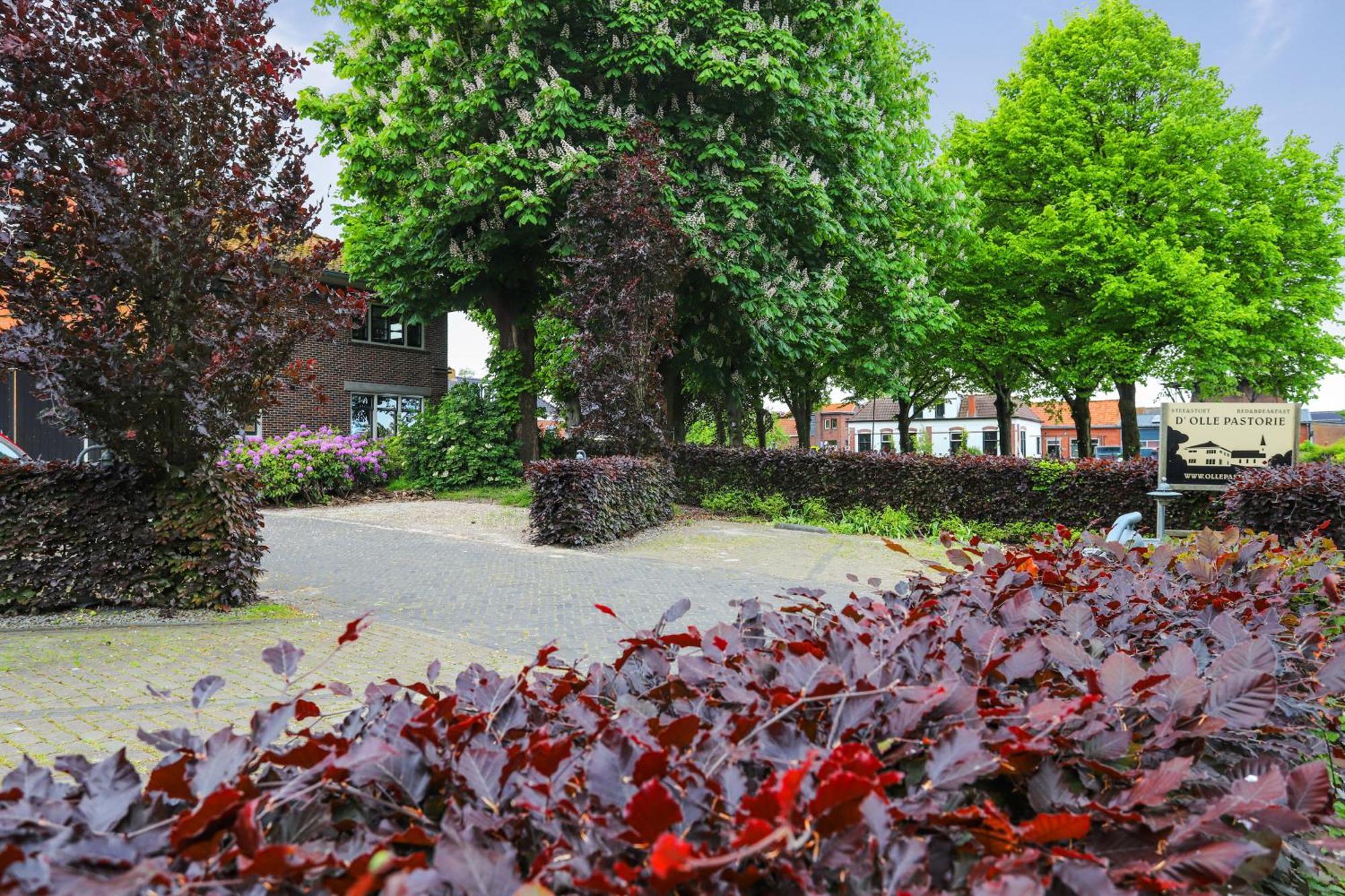 B&B - Sauna D'Olle Pastorie Vierhuizen 외부 사진